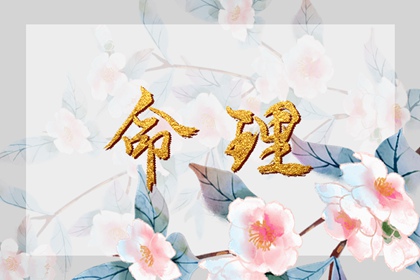 万年历2026日历表_农历日历2026年_年日历